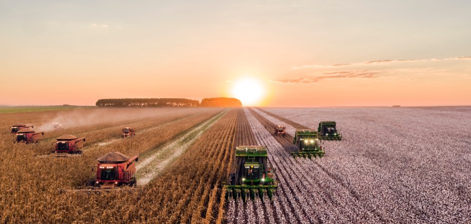 Permalink to Nota Fiscal de Produtor Rural – A contabilidade mais perto do campo Nota Fiscal de Produtor Rural – A contabilidade mais perto do campo